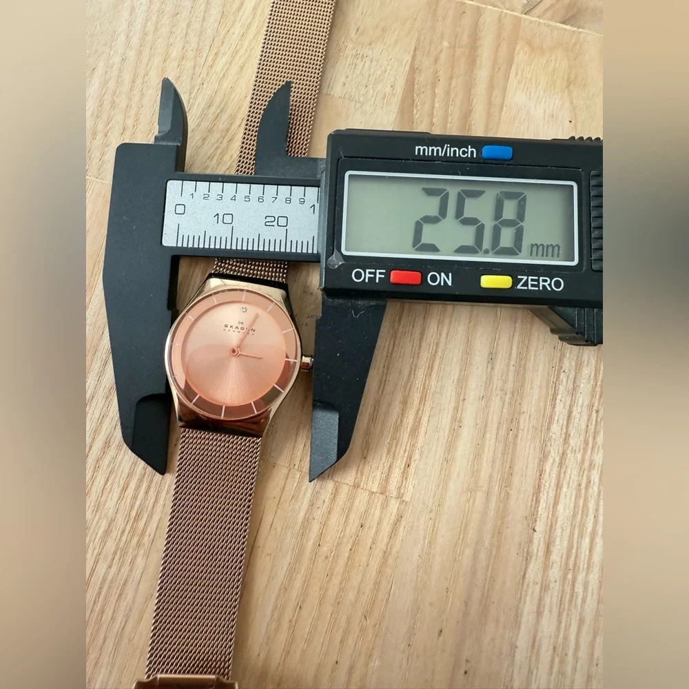 Skagen brand model